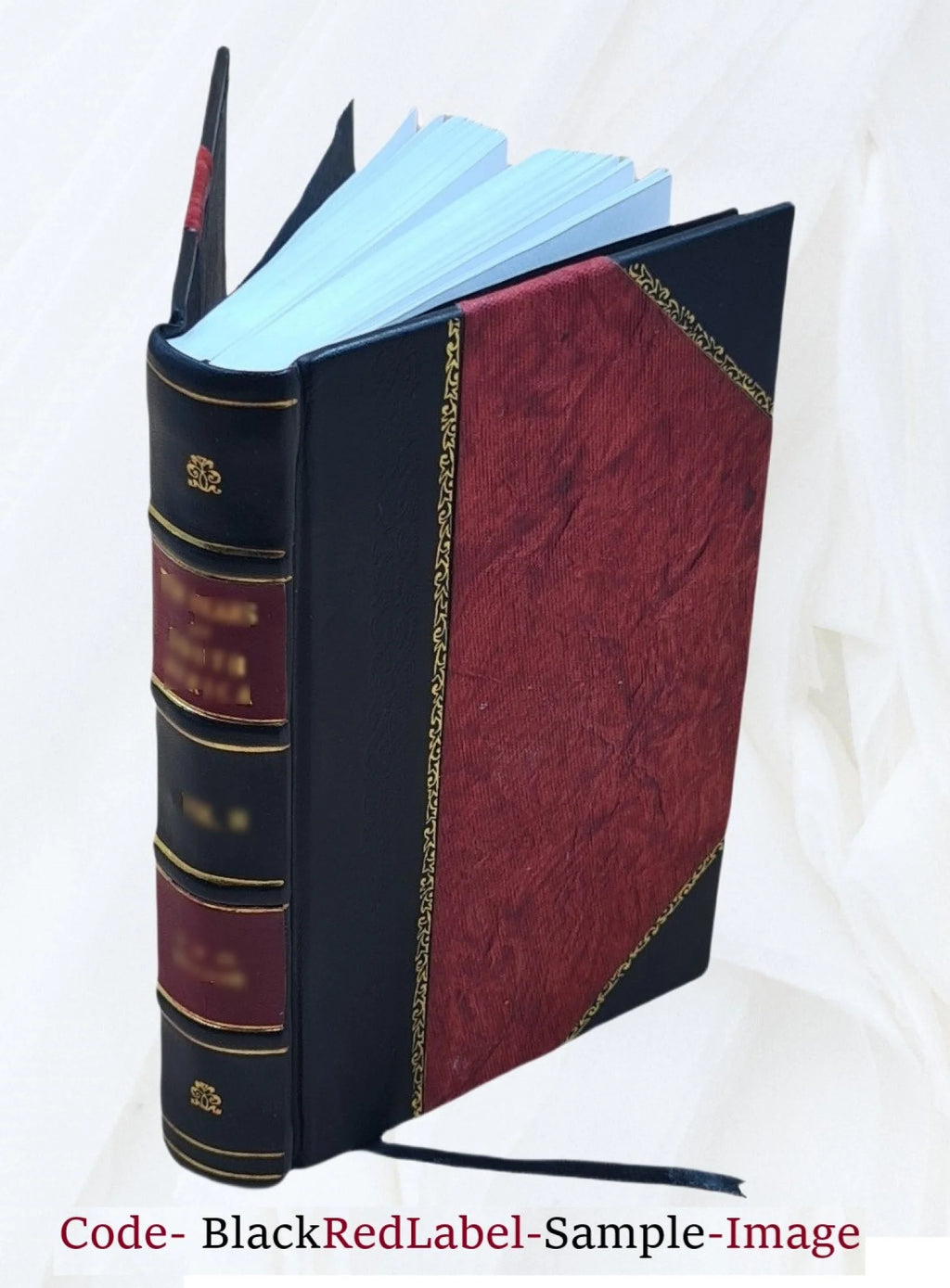 Guide pratique des villes d'eaux 1910 Leather Bound O8441