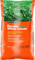 White Clover Grass Seed 25lb J169