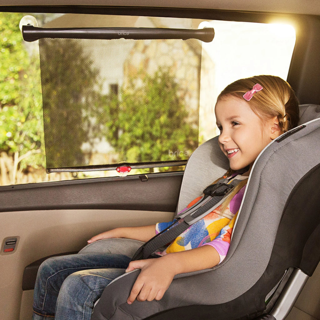 Black 2 Pack Car Window Shade X24190