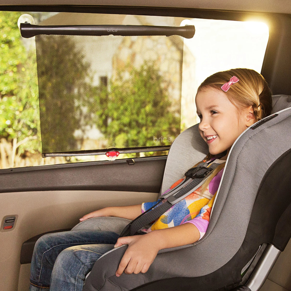 Black 2 Pack Car Window Shade X24190