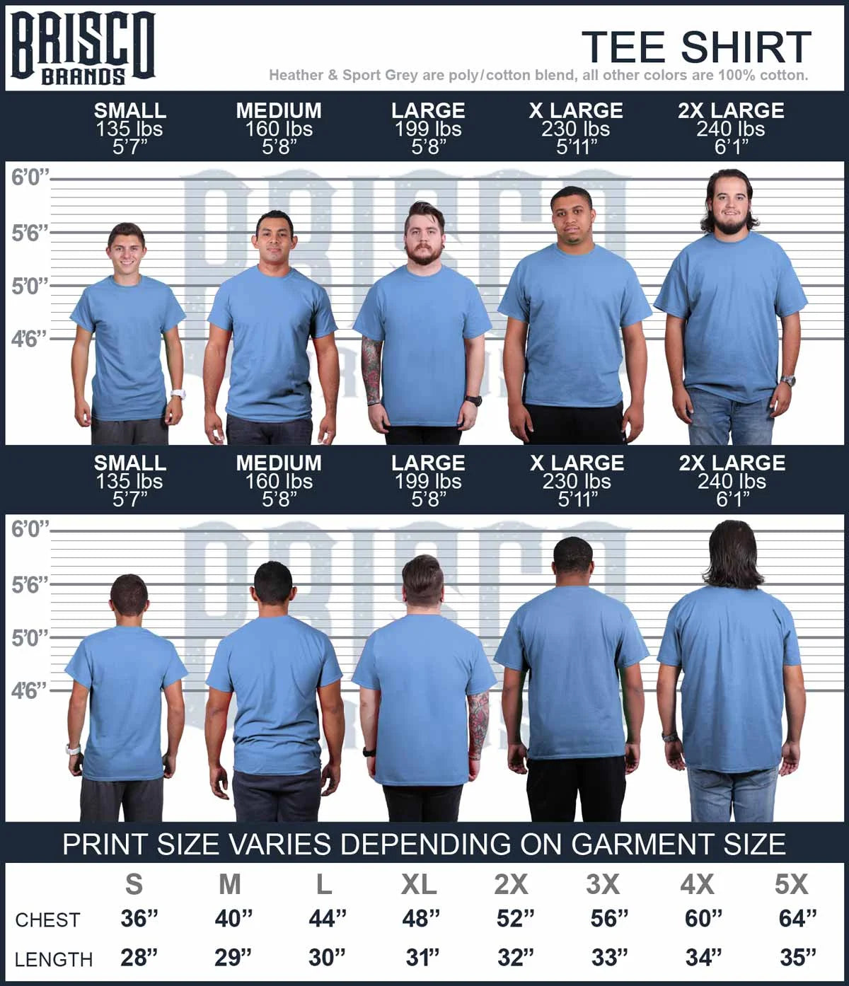 Graphic T Shirt H631898