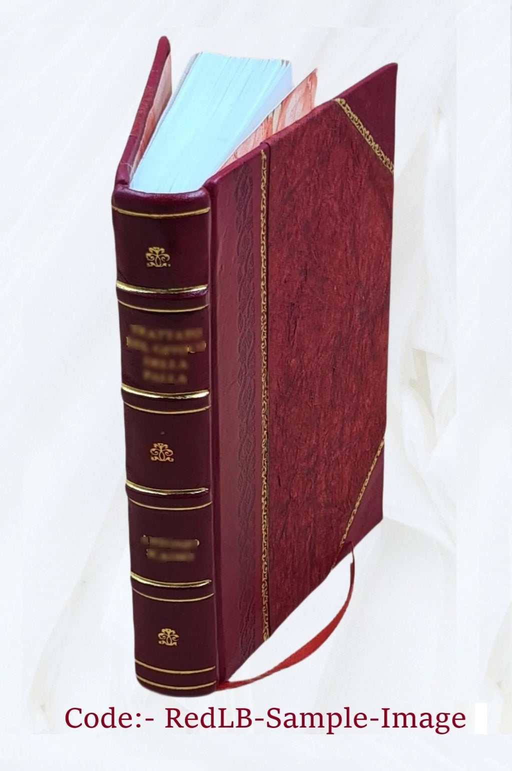 Guide pratique des villes d'eaux 1910 Leather Bound O8441