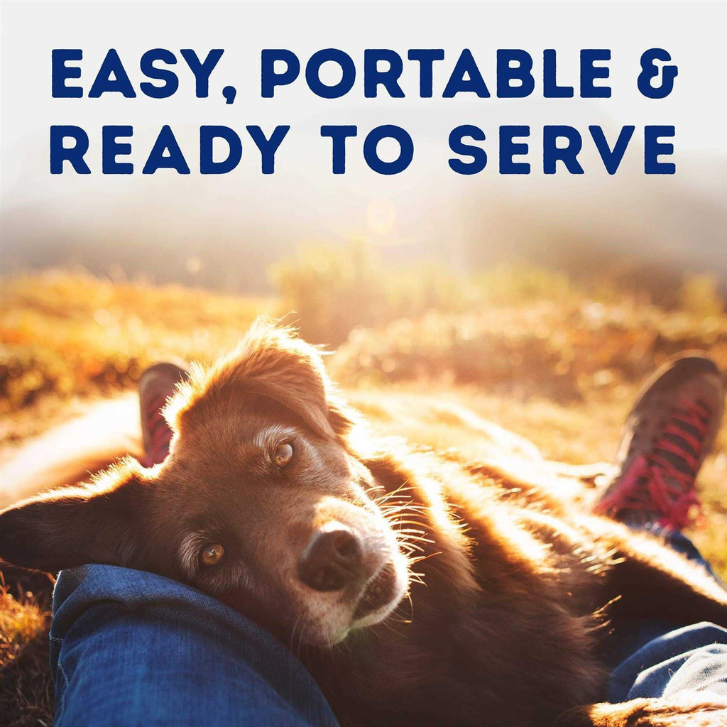 Tender Beef & Potato Recipe Wet Dog Food C792008