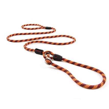 Slip Collar Dog Leash L14339