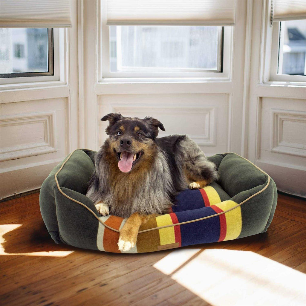 Dog Bed C47017