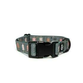 Pink Dog Collar P75388