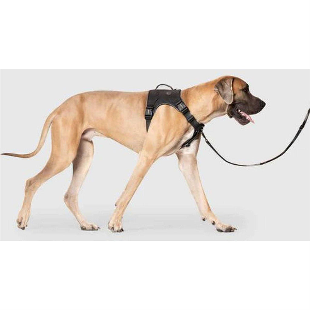 Complete Control Dog Harness S74969