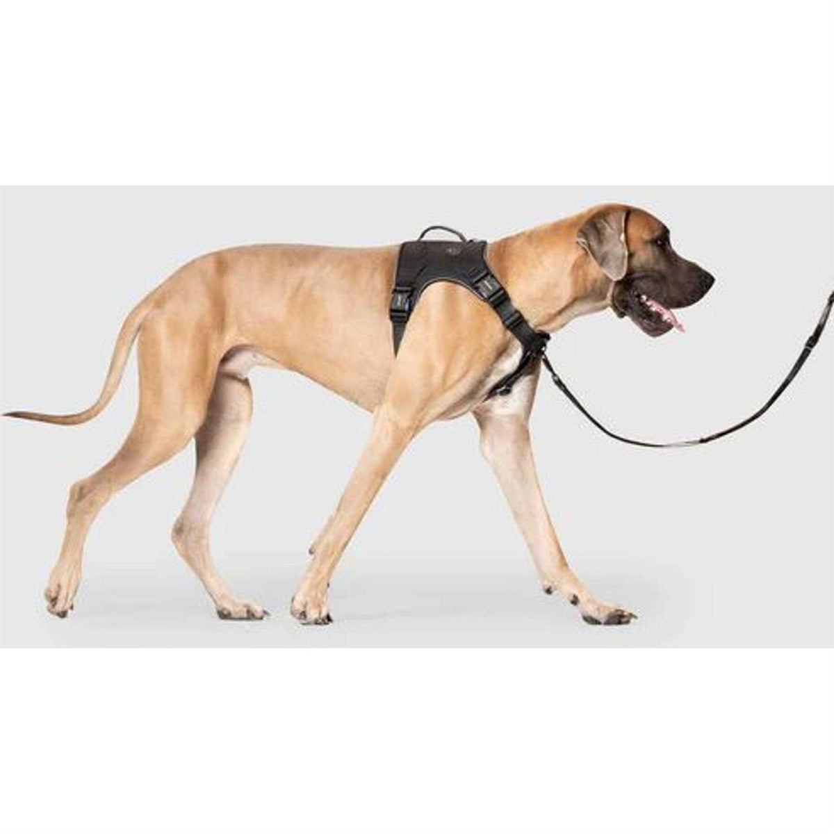 Complete Control Dog Harness S74969