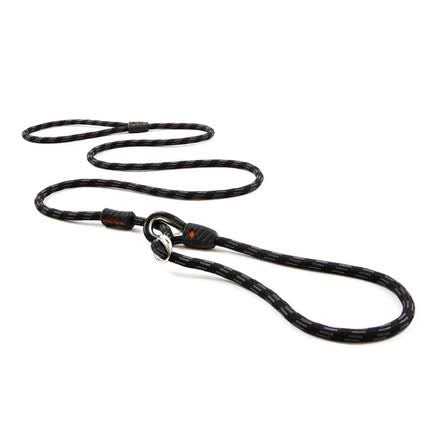 Slip Collar Dog Leash L14339