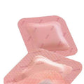 Foam Dressing 6 x 6 10/Pack E6142