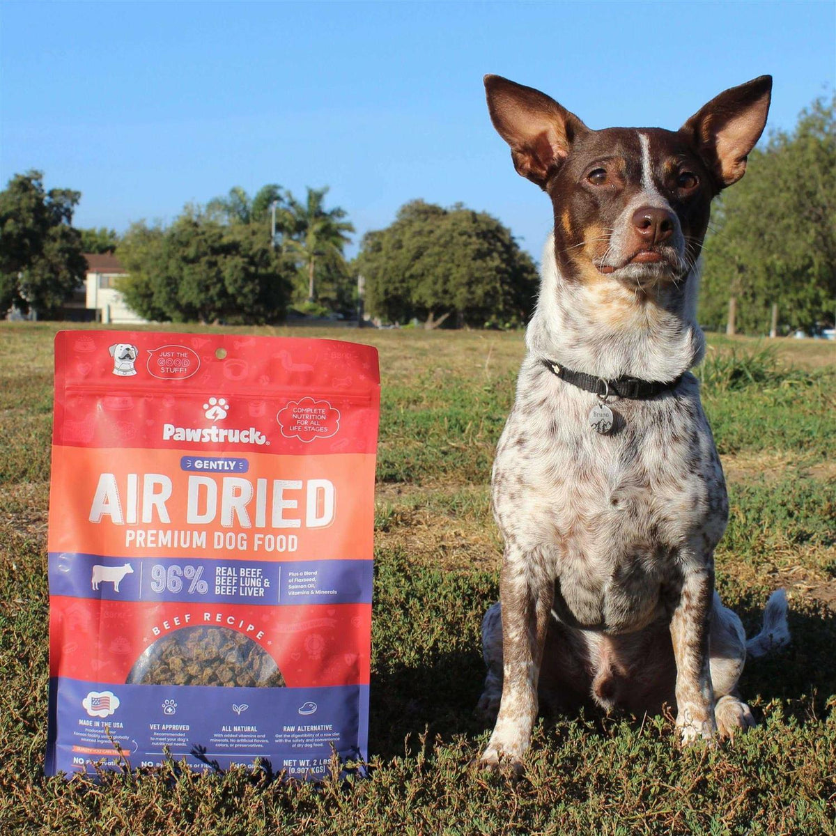 Grain-Free Air Dried Dog Food R262472