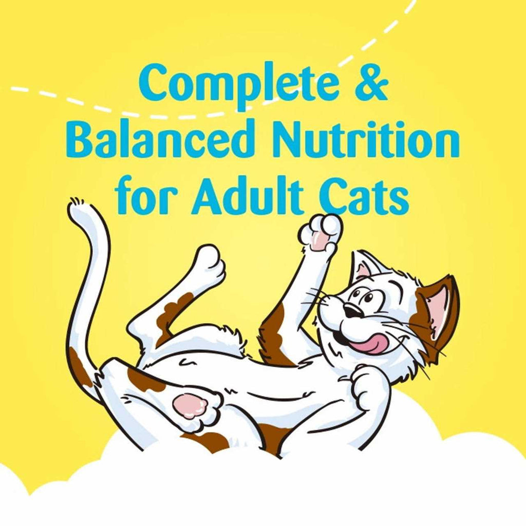 Catnip Flavor Cat Treats G61113