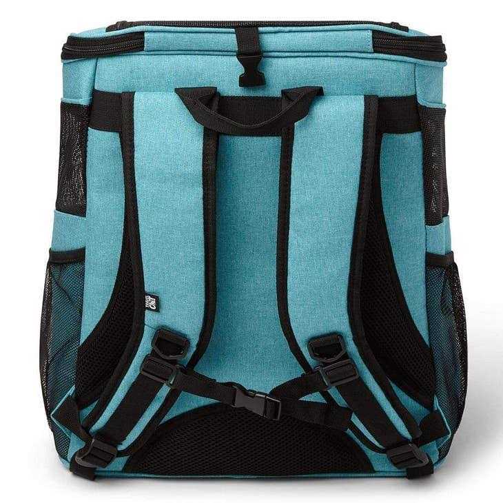 Cat Backpack K841