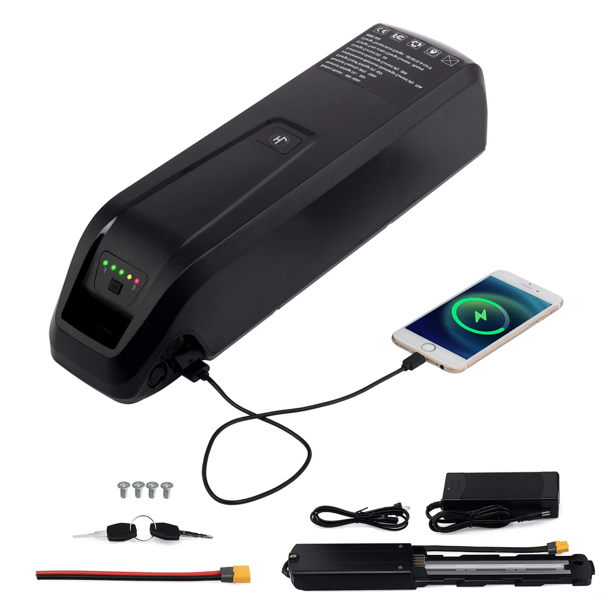 48V 20AH Lithium Ebike Battery with Charger S979932