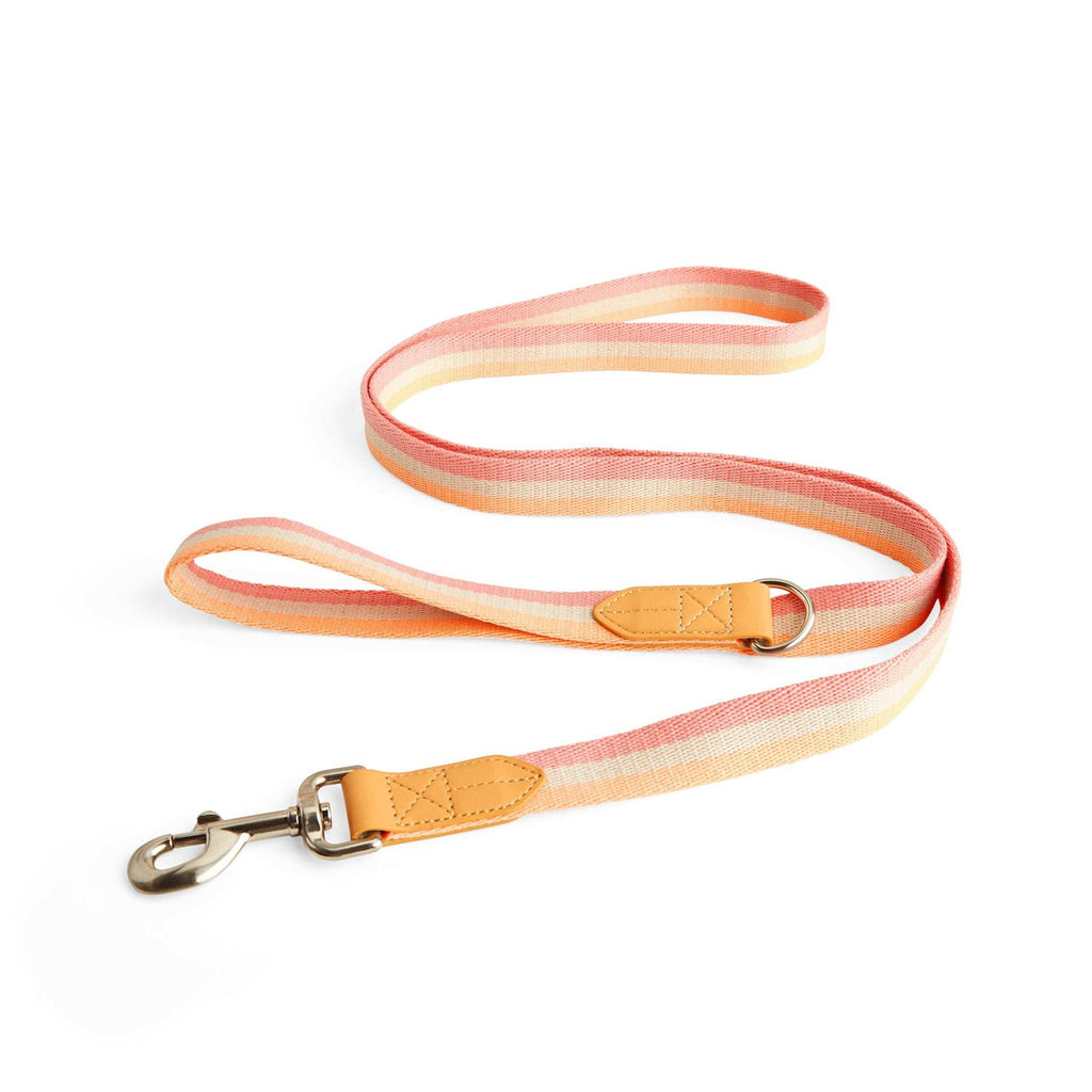 Dog Leash F617789