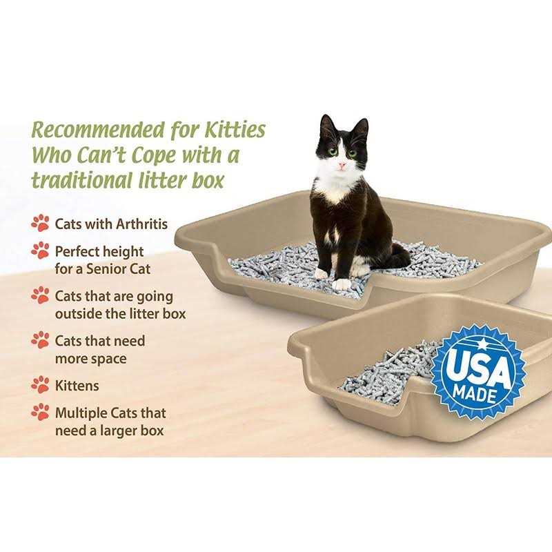 Senior Cat Litter Box C39985