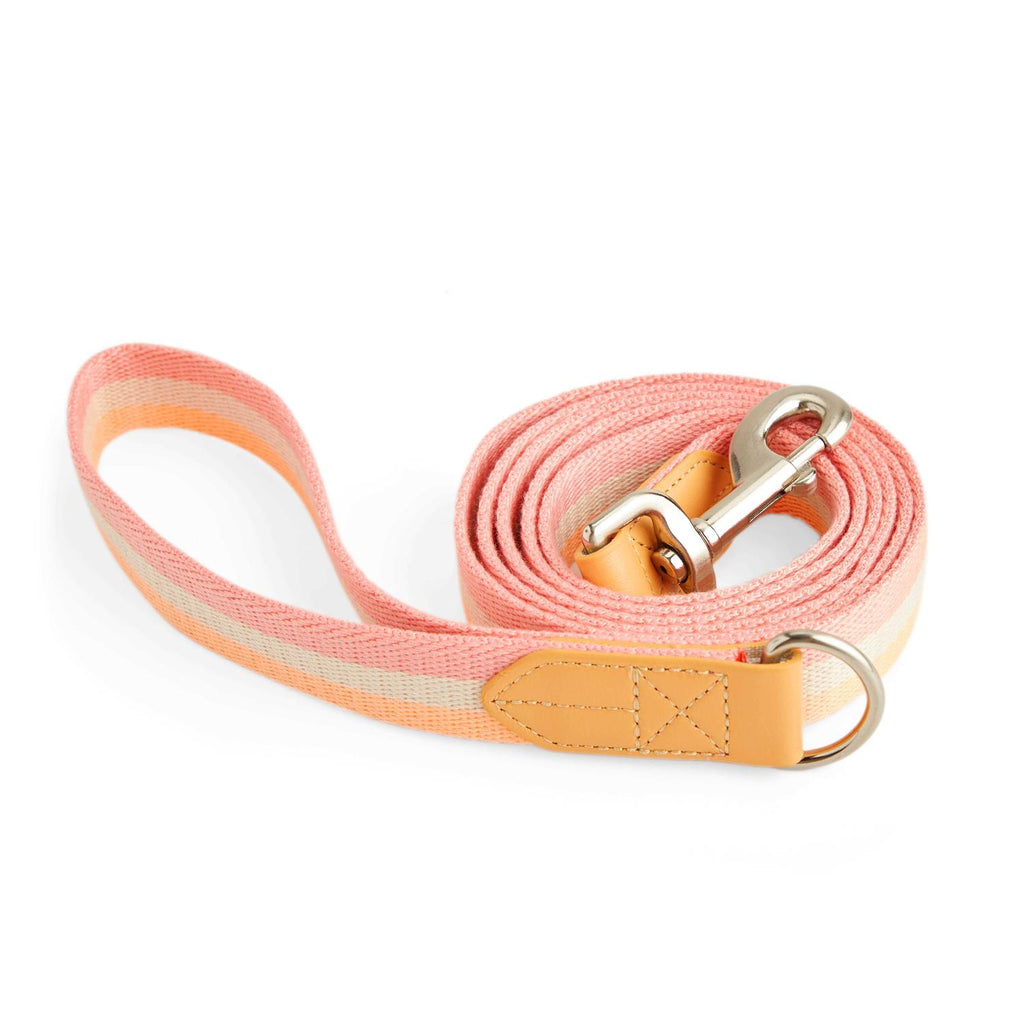 Dog Leash F617789