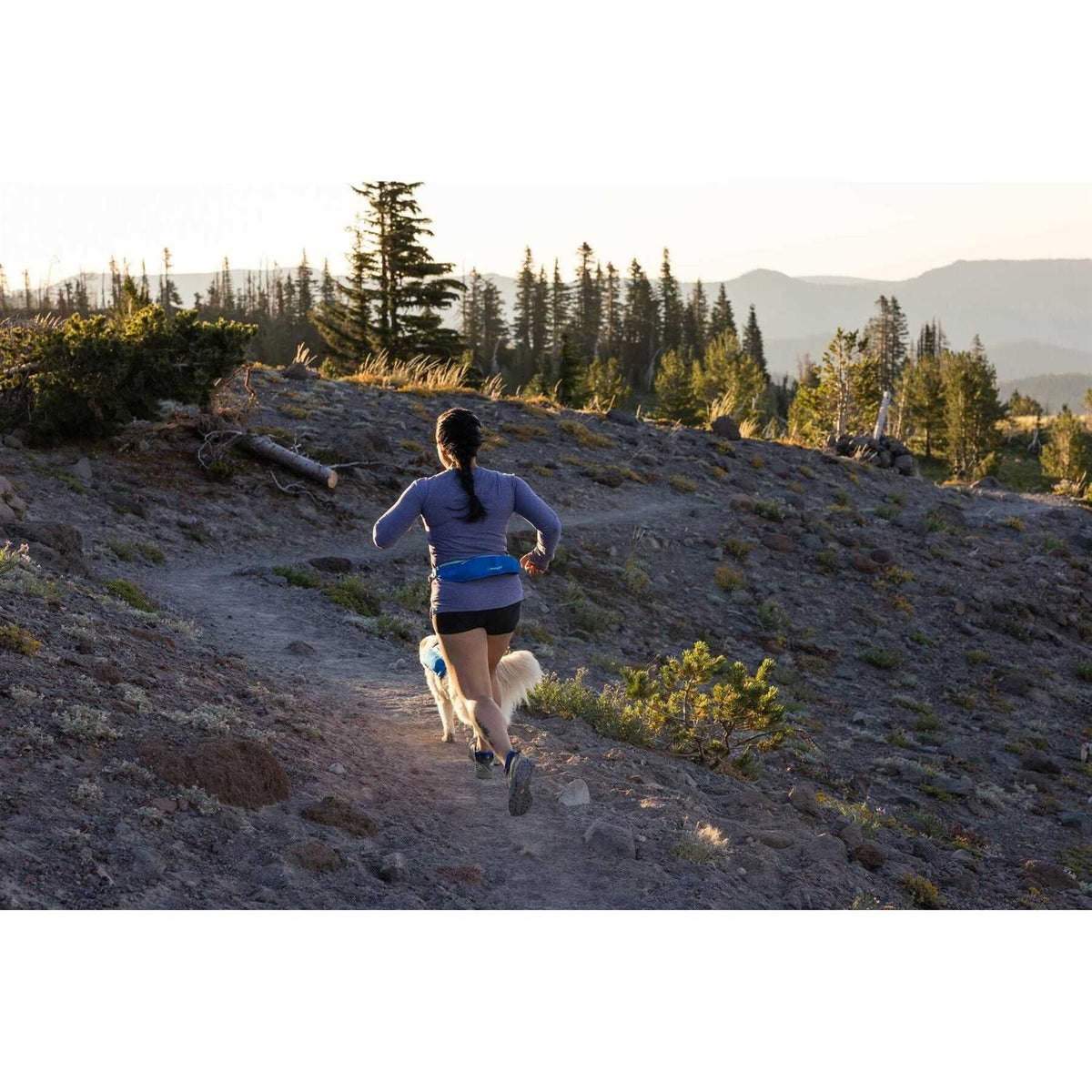 Trail Runner Belt S40476